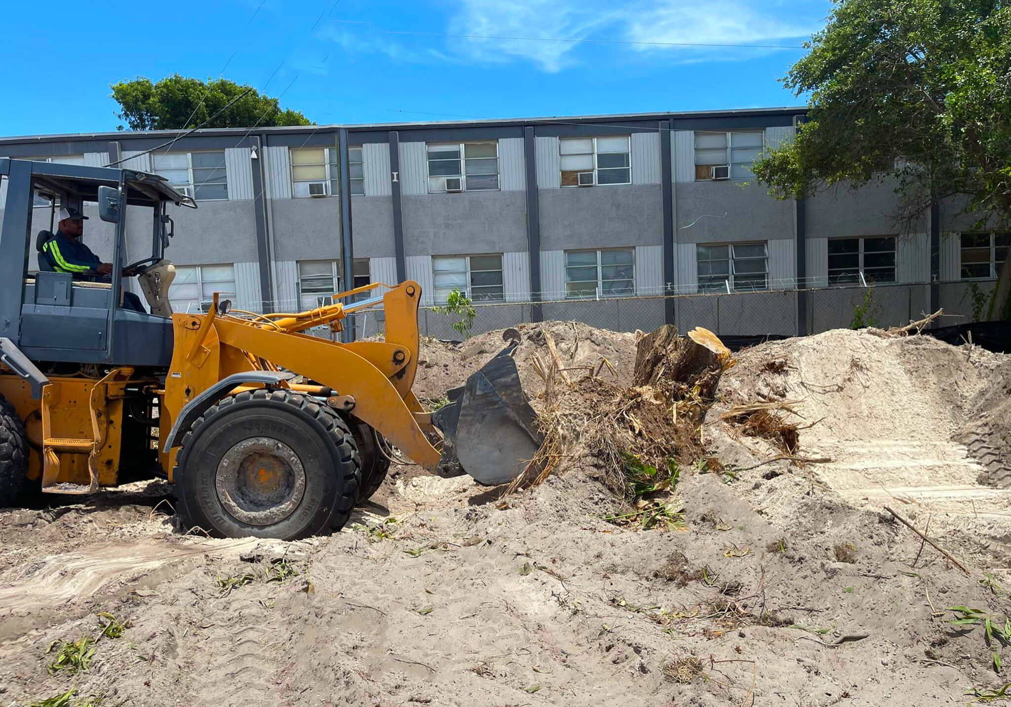 Land and Lot Clearing - Grelite Tree Service - Haines City, FL - Polk County