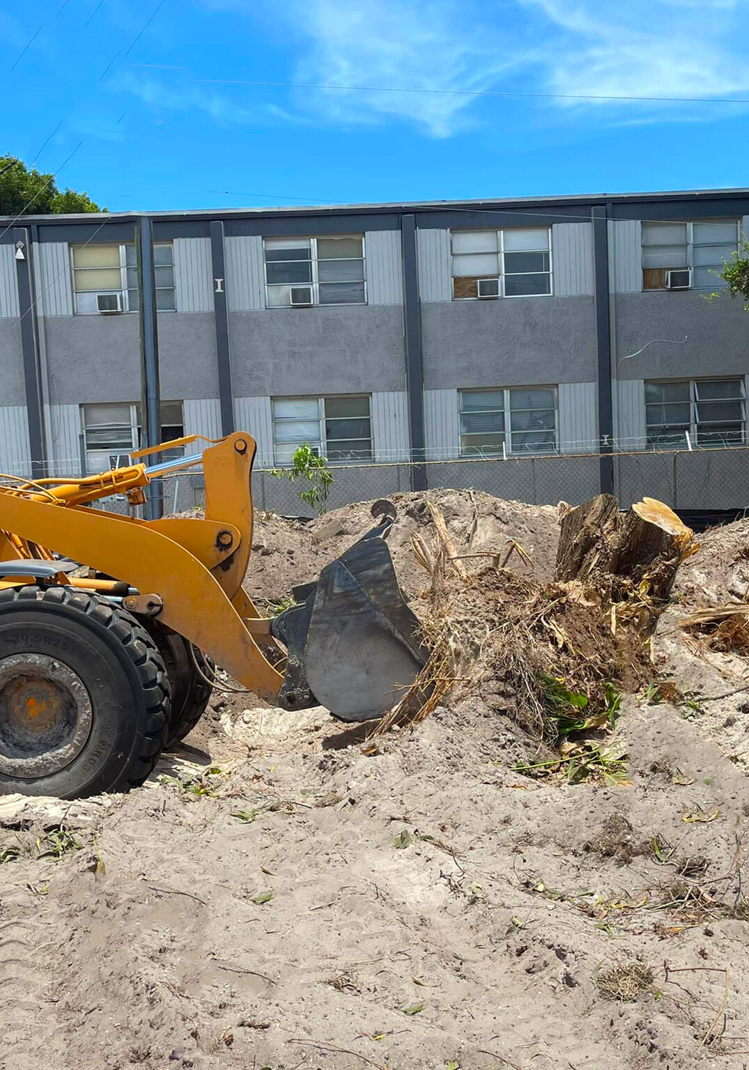 Land and Lot Clearing - Grelite Tree Service - Haines City, FL - Polk County