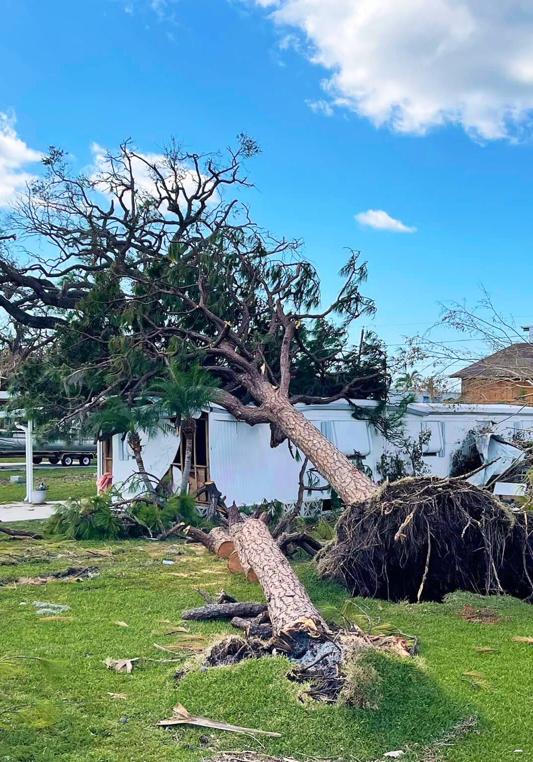 Storm prep and Cleanup - Polk County