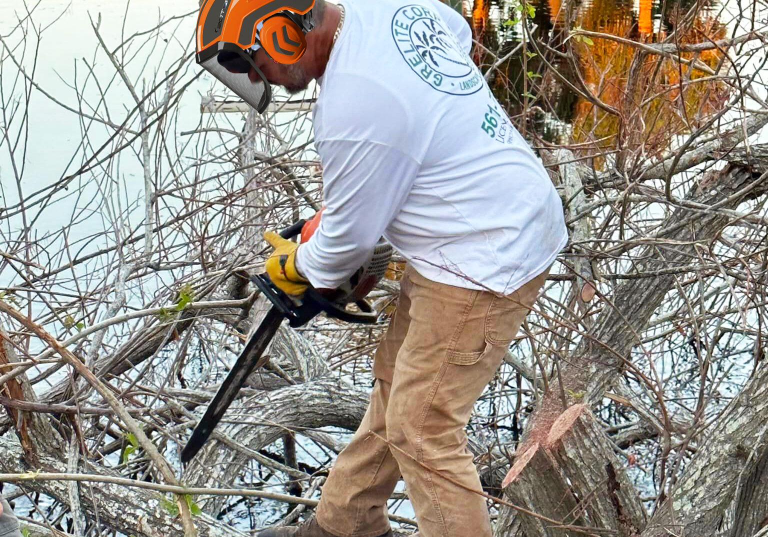 Grelite Tree Service - Tree Removal, Tree Trimming, Stump Grinding- Haines City, FL - Polk County_18