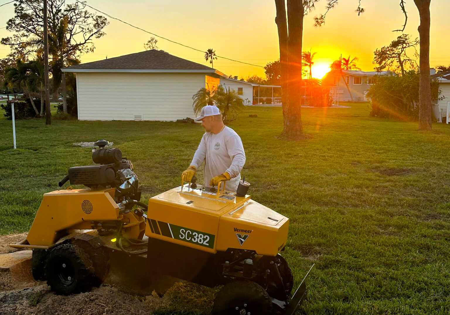 Stump Grinding Haines City, FL - Grelite Tree Service