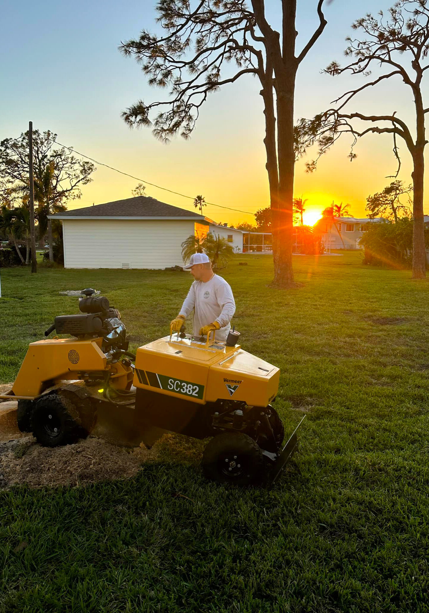 Grelite Tree Service - Tree Removal, Tree Trimming, Stump Grinding- Haines City, FL - Polk County_21