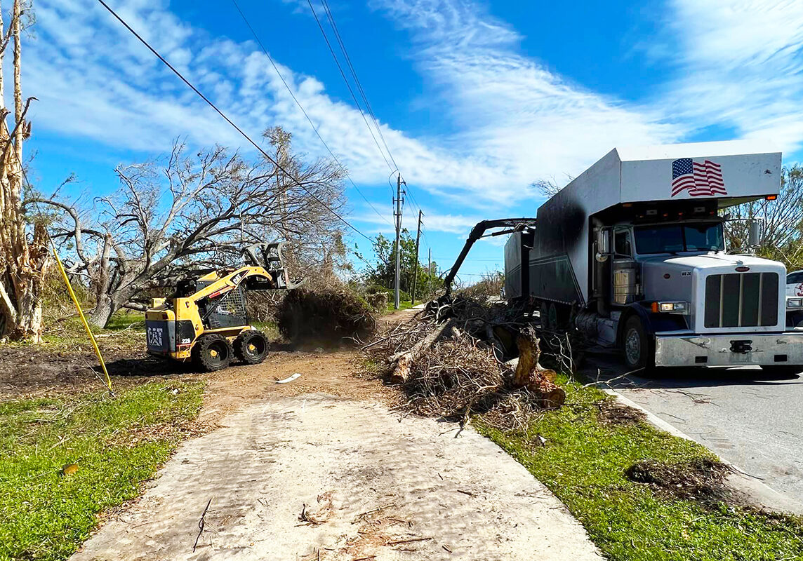 Grelite Tree Service - Tree Removal, Tree Trimming, Stump Grinding- Haines City, FL - Polk County_29