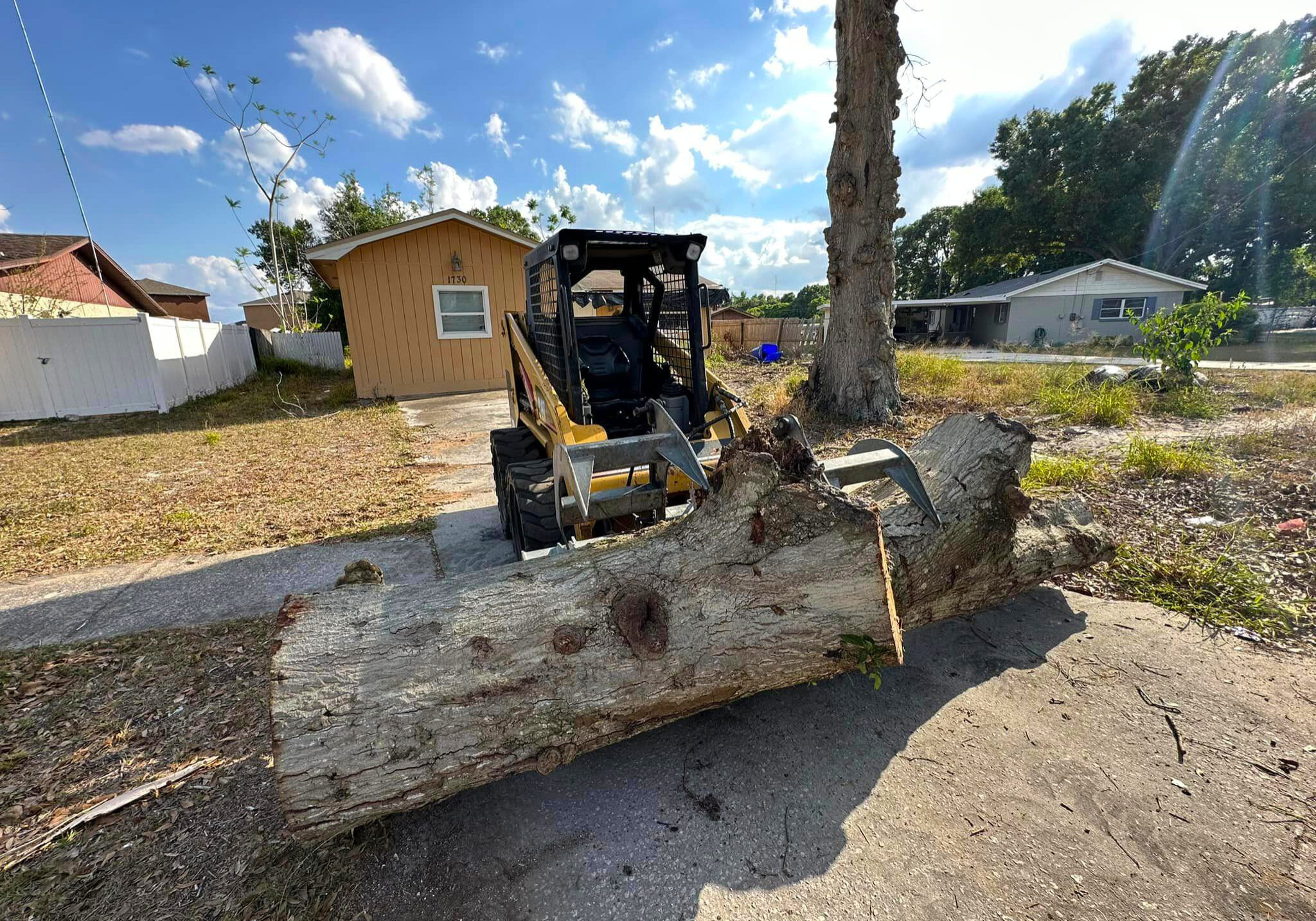 Grelite Tree Service - Tree Removal, Tree Trimming, Stump Grinding- Haines City, FL - Polk County_28